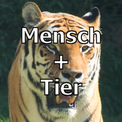 Mensch + Tier
